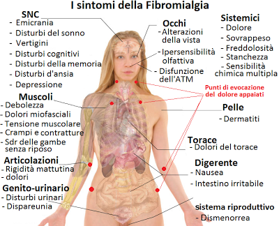 Fibromialgia alimentos prohibidos